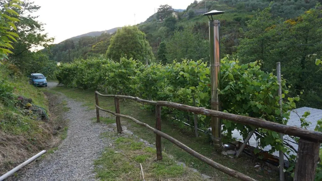 Agriturismo U muinettu