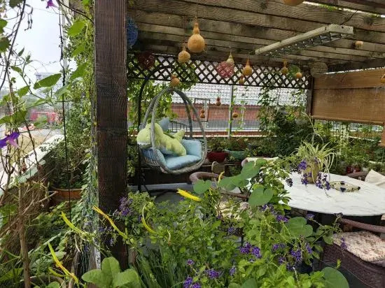 Laocheng Yard Homestay