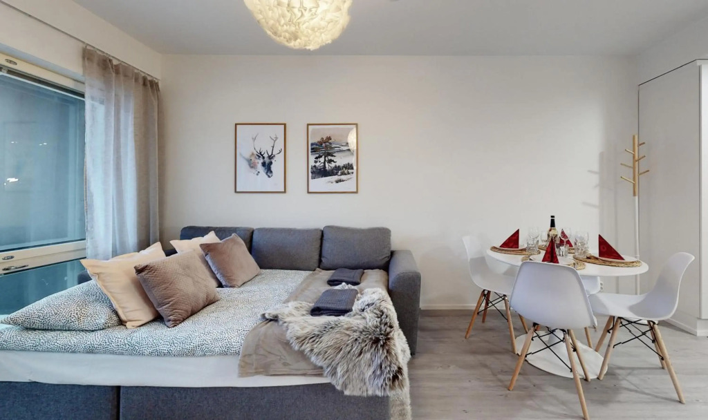 Apartment Scandinavia IV