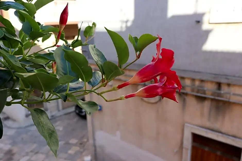 B&B Casa Antica