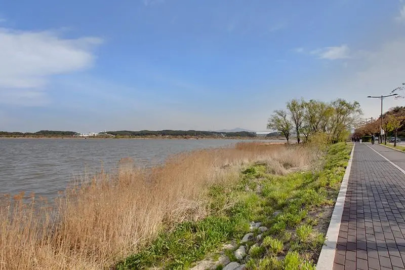 Gangneung Gyeongpo Sea Travel Pension (Riverview)