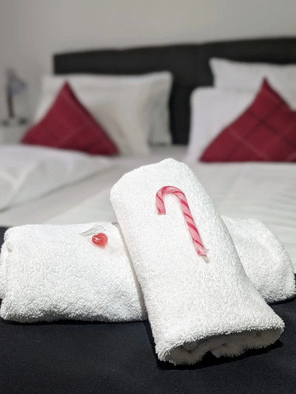 Room in Guest Room - City Hotel - Double Room 117