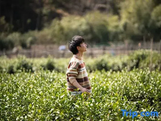 Houyuan · Angling Mountain Wildness Resort Homestay (Anji Yunshang Caoyuan Branch)