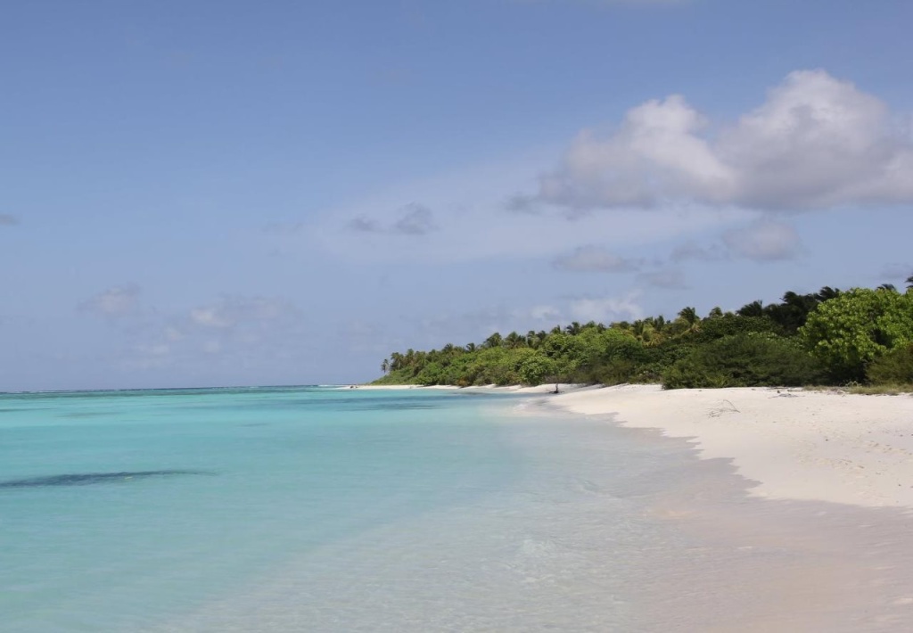 Plus View Maldives