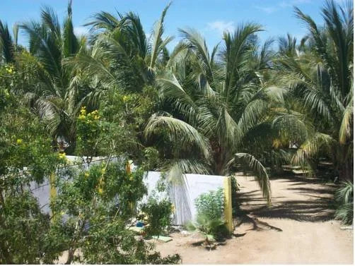 Hotel El Conchalito