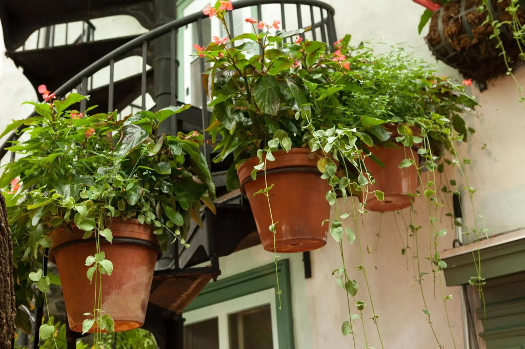 Hotel le Priori
