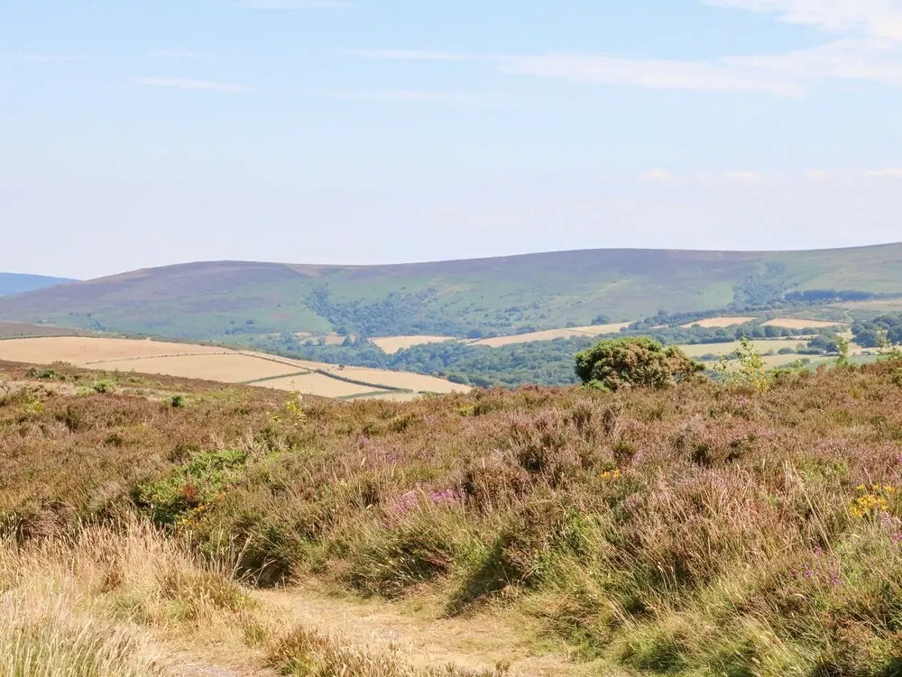 Greenslades