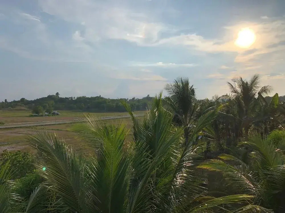 Jupiter's Garden Resort