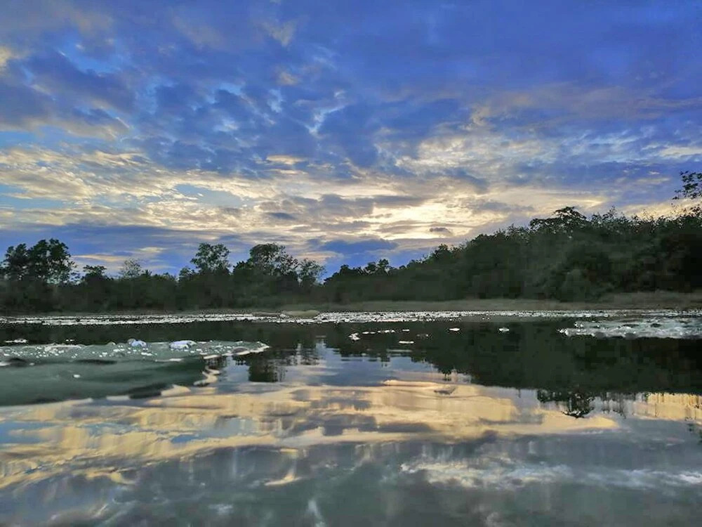 Wichai's Jungle Home Stay