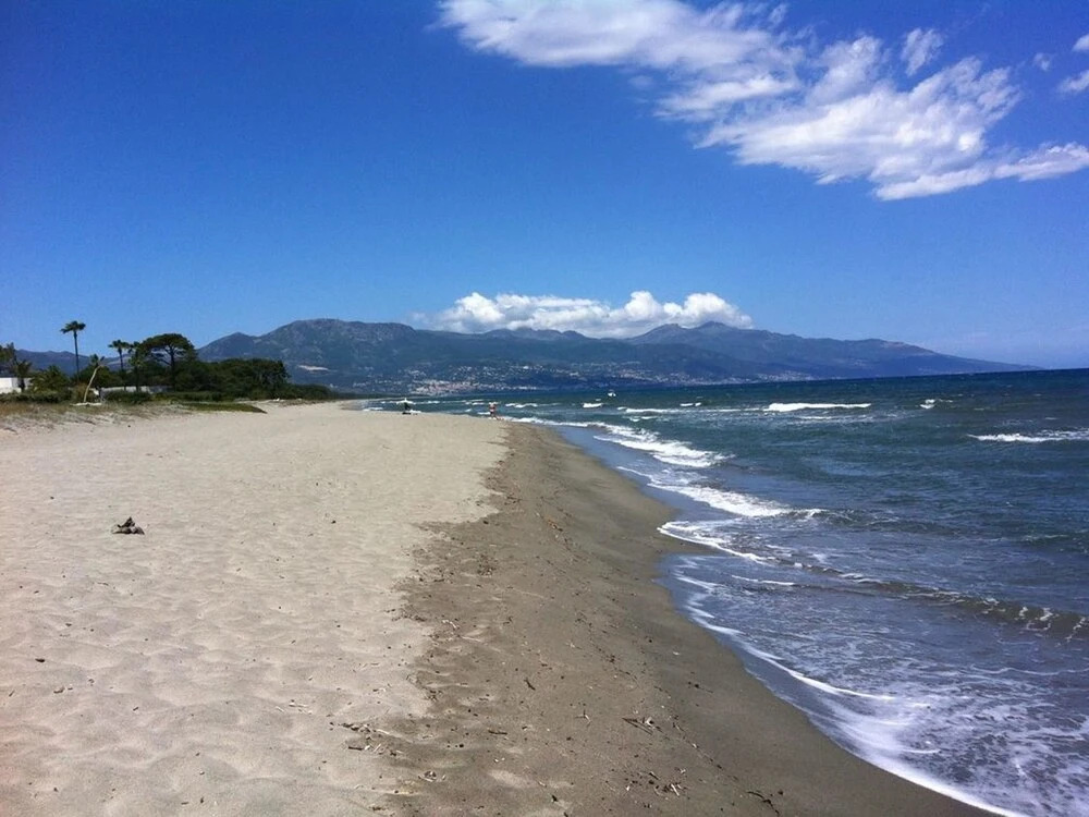Apartment With one Bedroom in Bastia, With Furnished Garden and Wifi - 4 km From the Beach