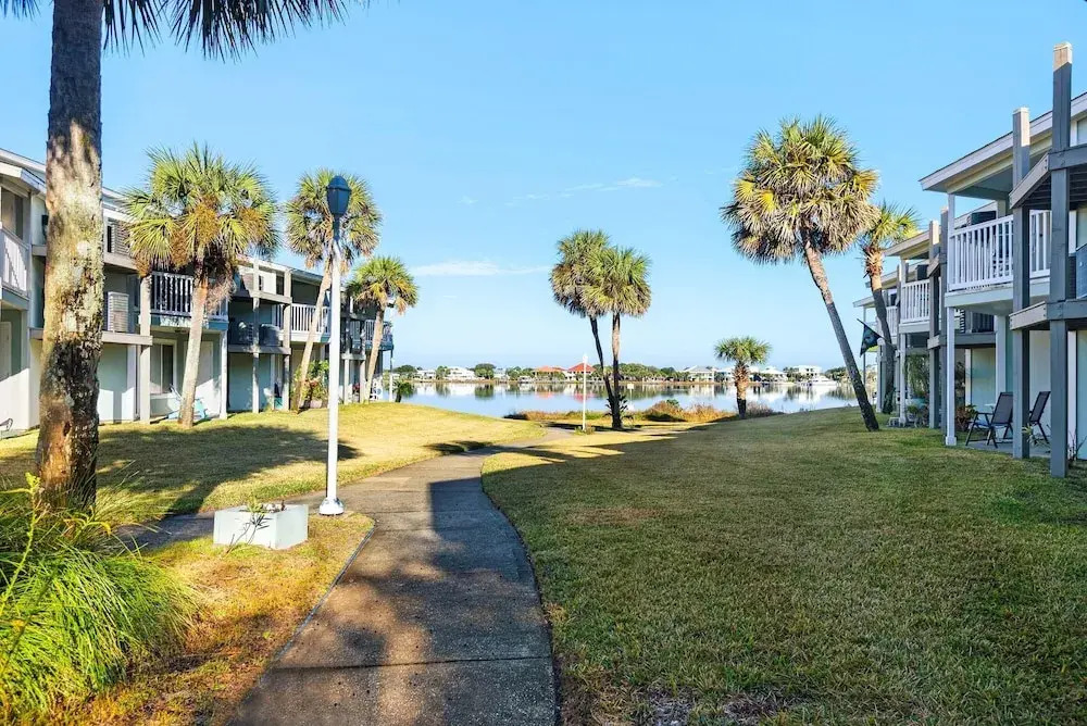 Sand Dollar E-101