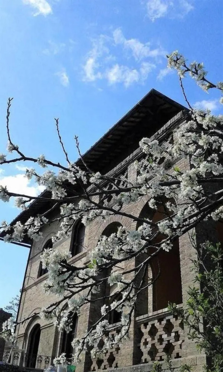 Appartamenti Villa Mascagni