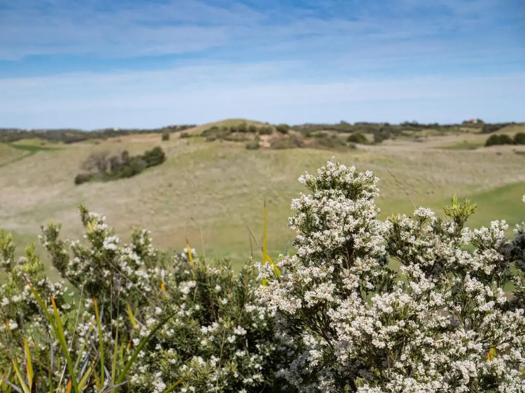 Links Lodge at The Dunes