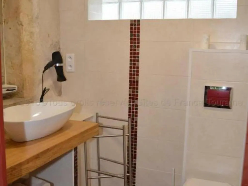 Gîte charmant près de Tours, jardin clos, idéal pour familles - FR-1-381-95