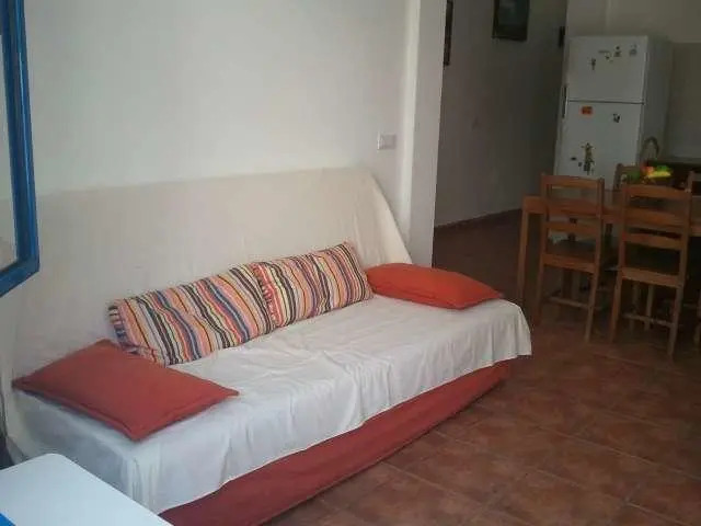 Tipuana
