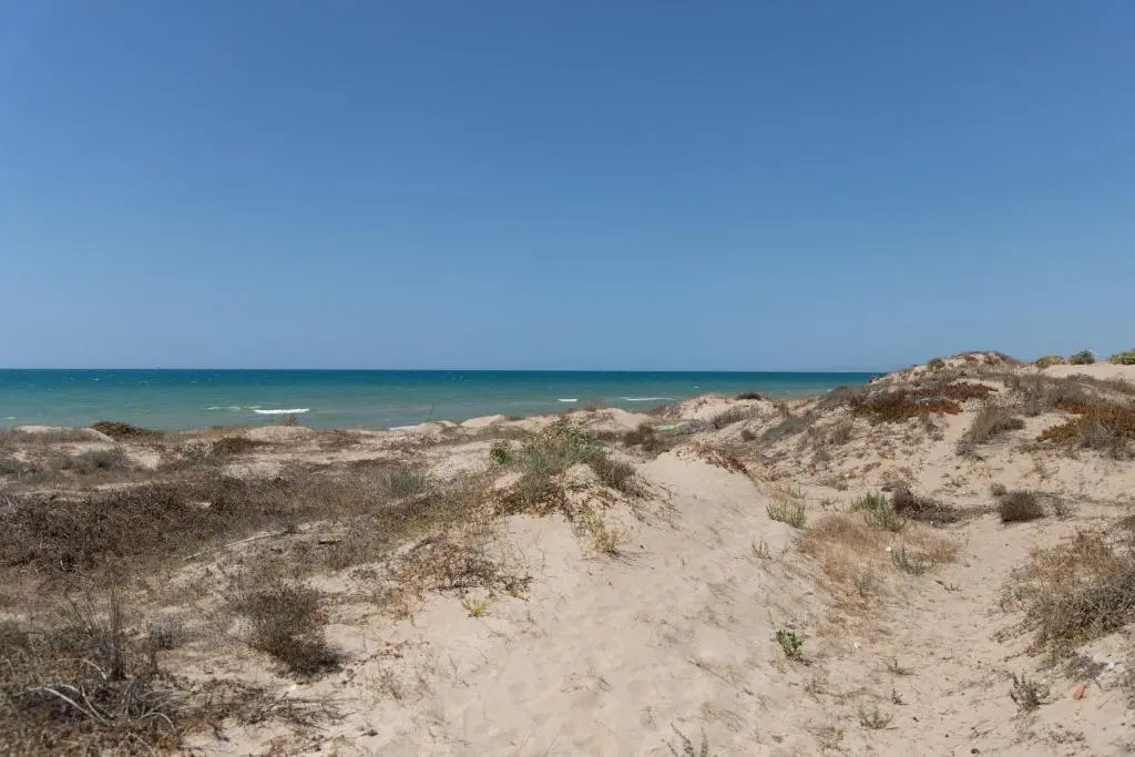 Appartamento sul mare