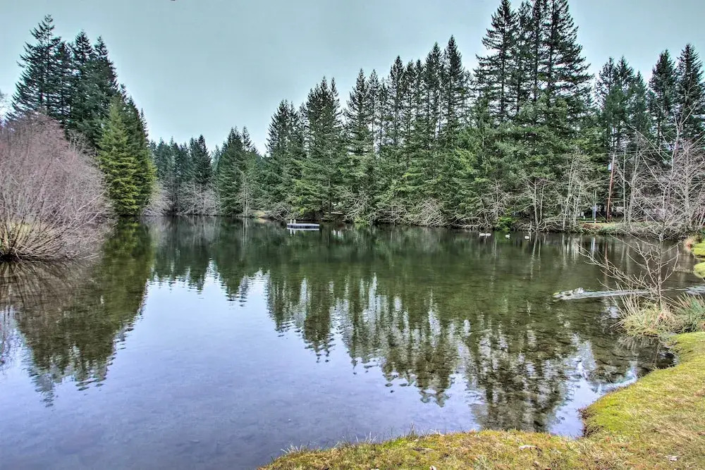 Home w/ Hot Tub < 5 Miles to Rainier National Park