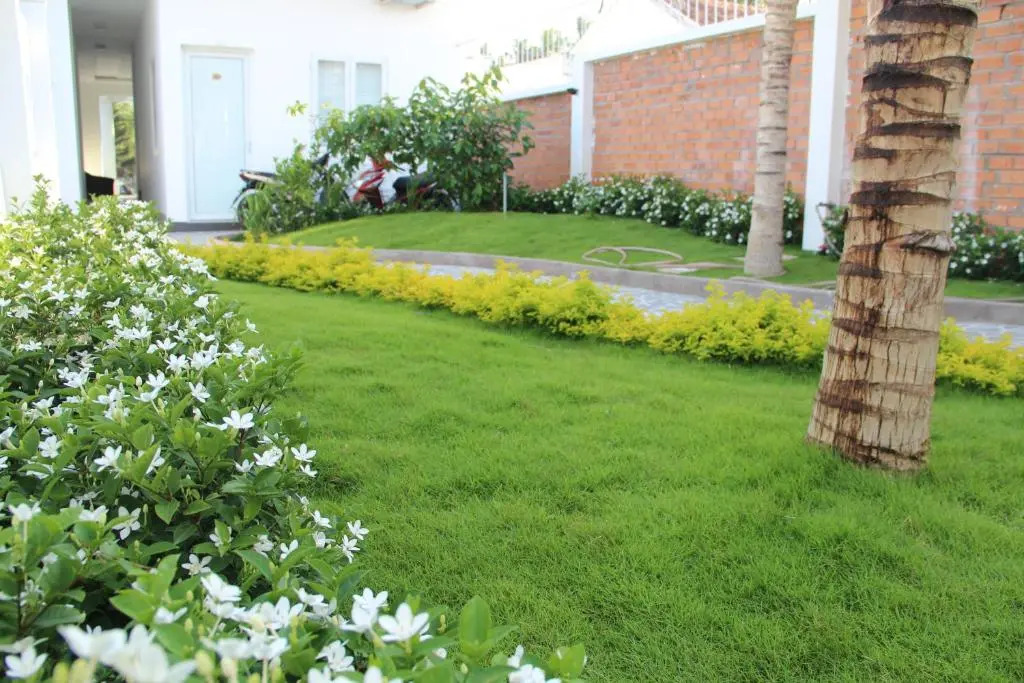Mui Ne Volga Hotel & Apartments