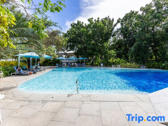 Studio for 5 at Tambuli Residences Garden View by Dominik Studio with Pool & Balcony in Mactan