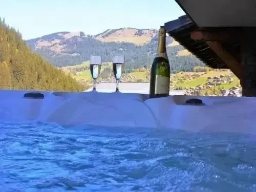 Ski PDS Mustang Chalet Châtel
