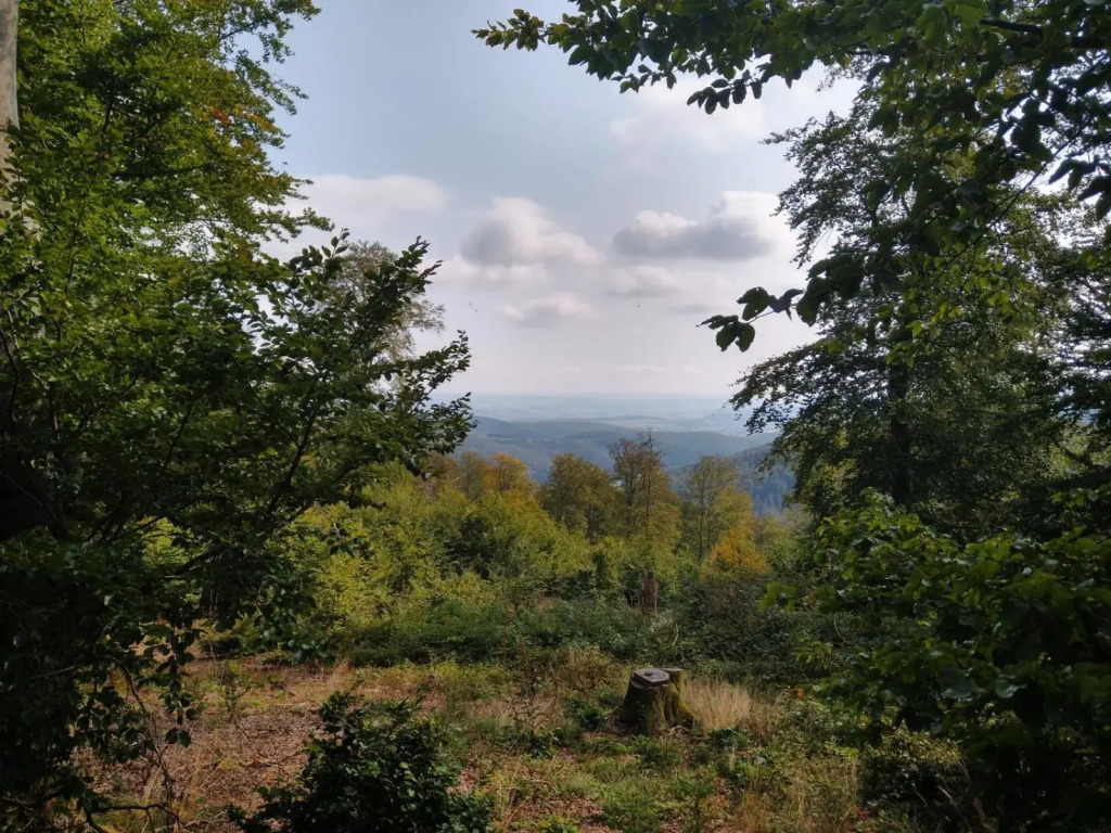 Villa Hinterland