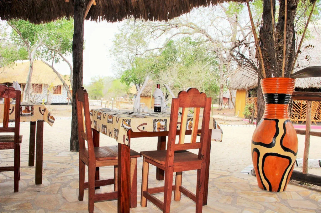 Africa Safari Selous Nyerere national park