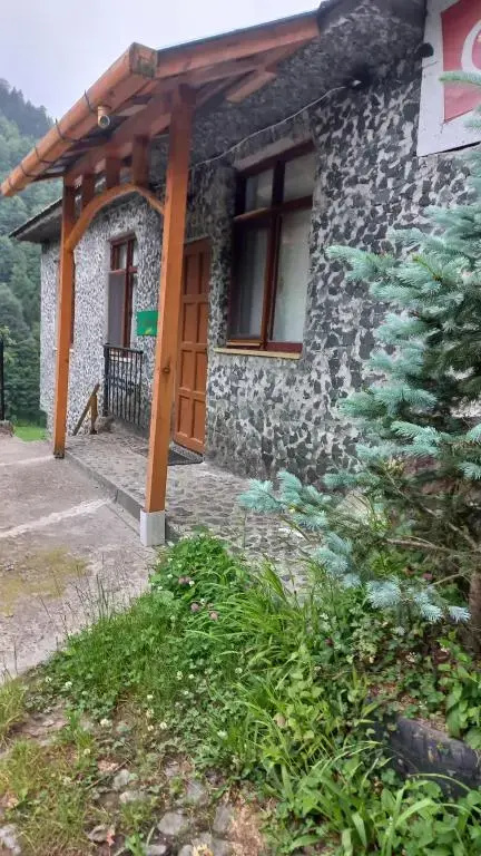 Ladin Dağ evi