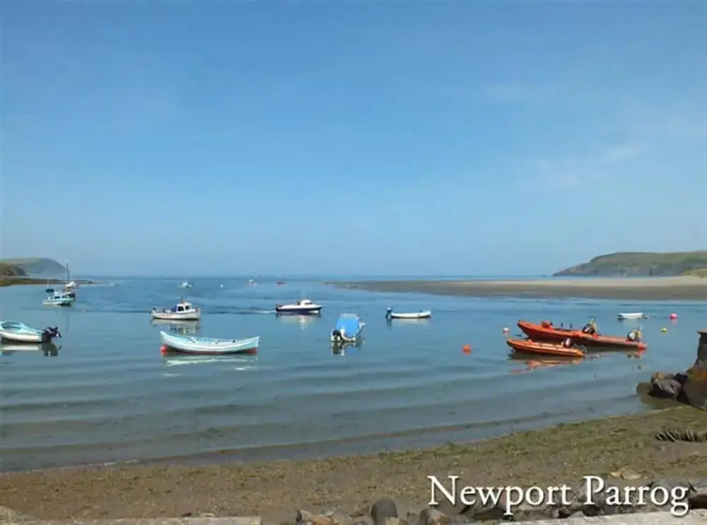 Gwelfor, Newport