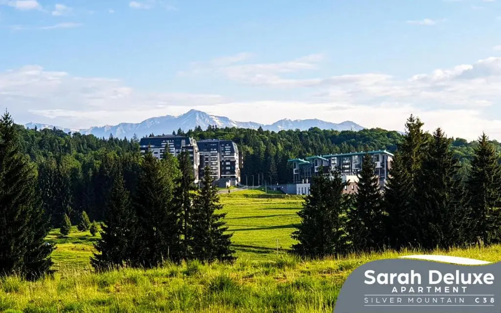 Sarah Deluxe Apartment in SILVER MOUNTAIN
