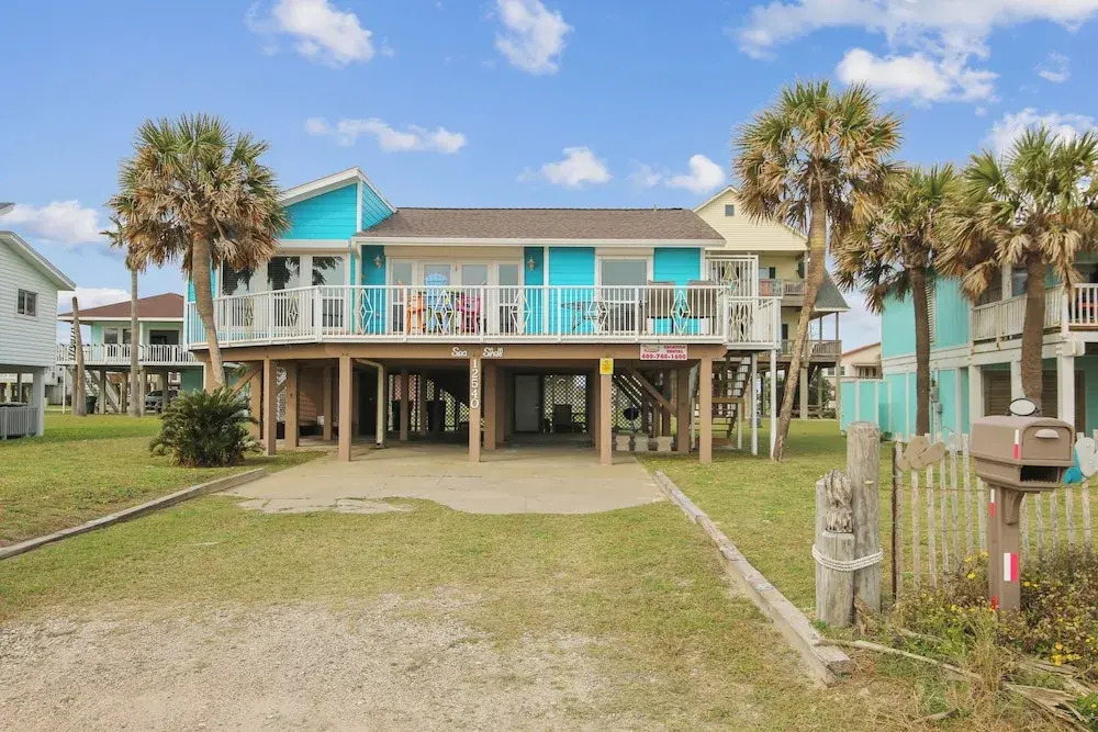 Beachfront Seashell