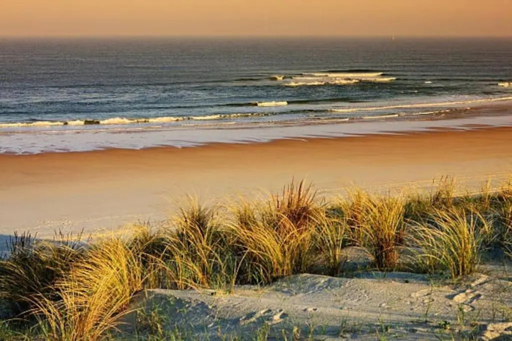 Villa en bordure de forêt