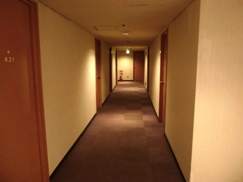 Hotel Wakow