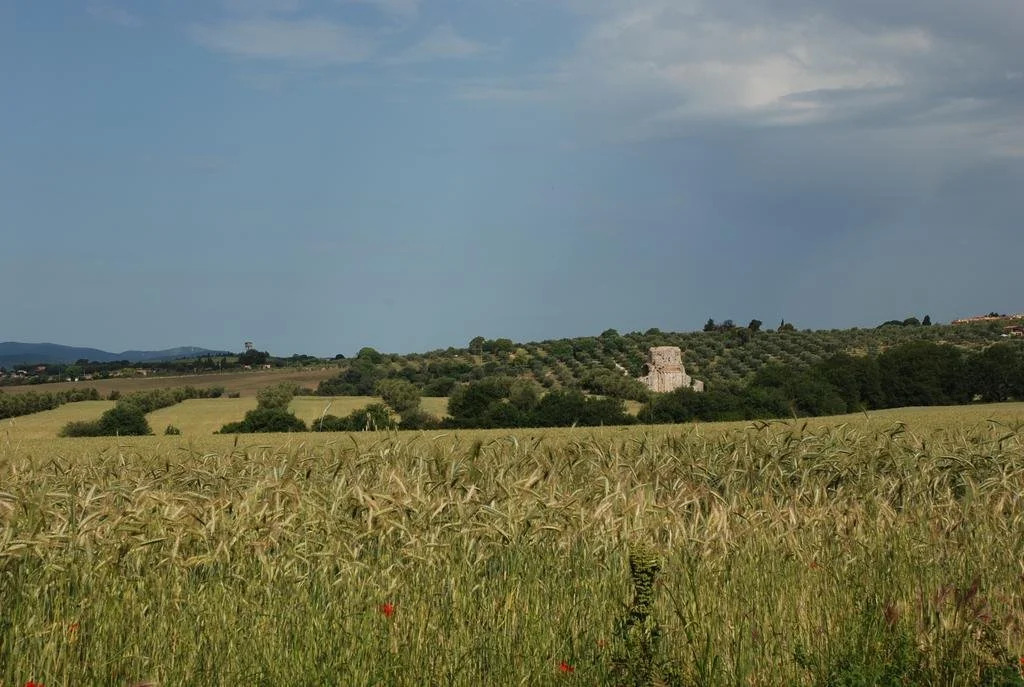 Agriturismo Le Coccinelle