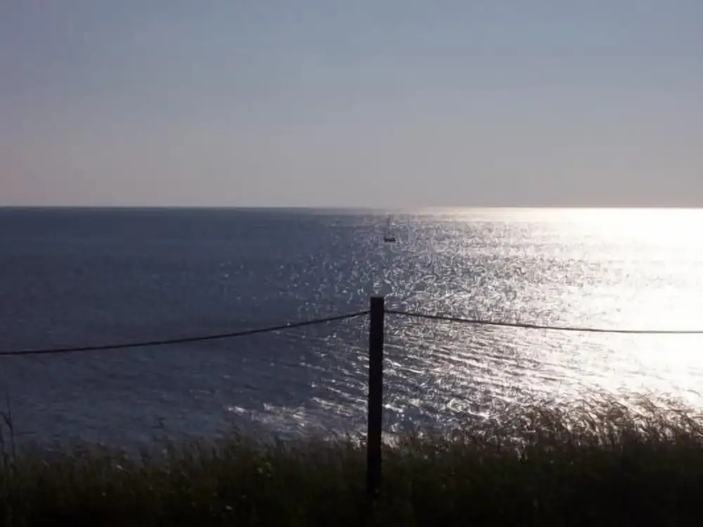Emily's Oceanside Cottages