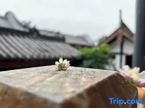 Leshan Meet Courtyard Hotel (Leshan Giant Buddha)