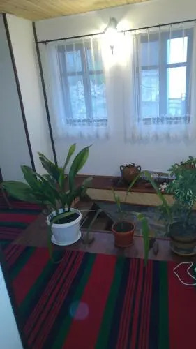 Guest House Strumena