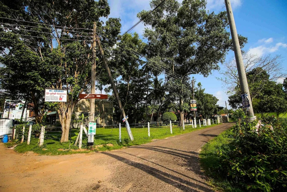Yoho Airport Way Bungalow