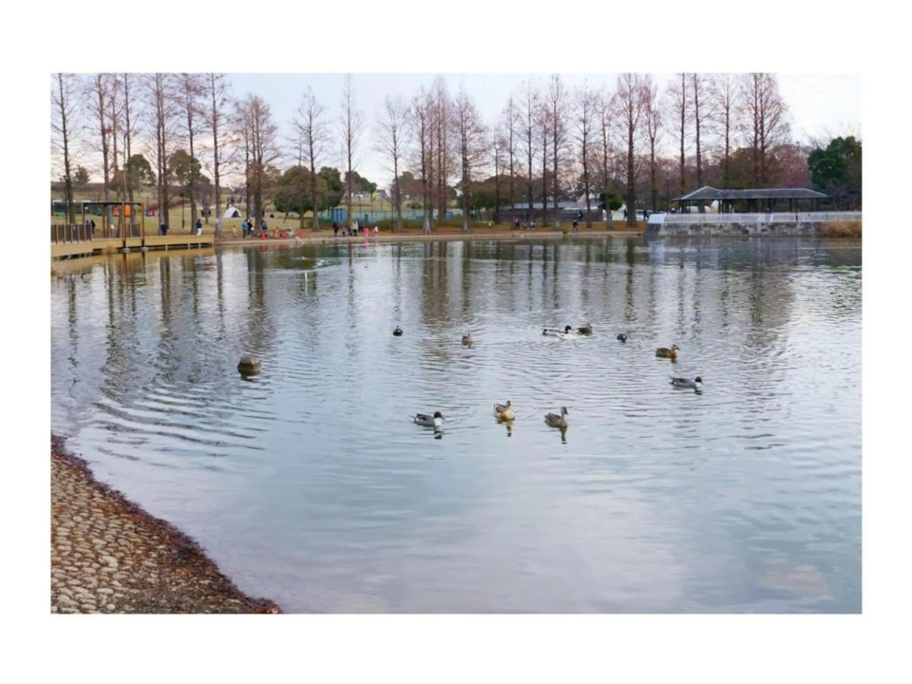 OHANA TOKYO HOUSE - Vacation STAY 73658v