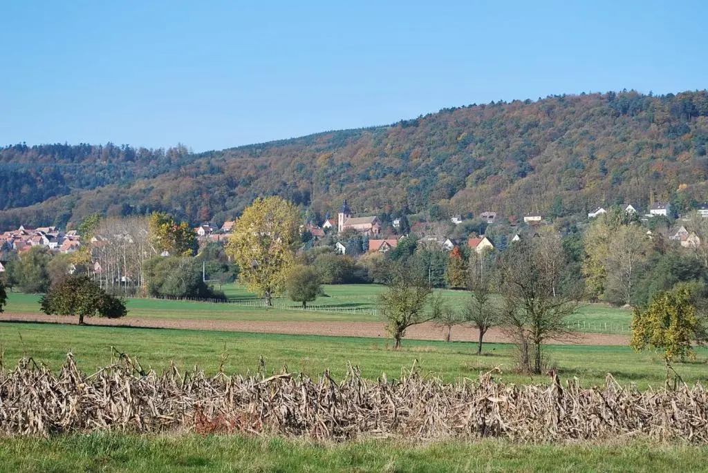 Chambres dhôtes Les vignes