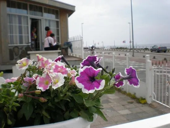 Top Location Studio