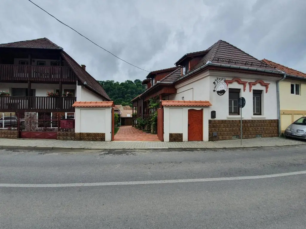 Casa Steluta