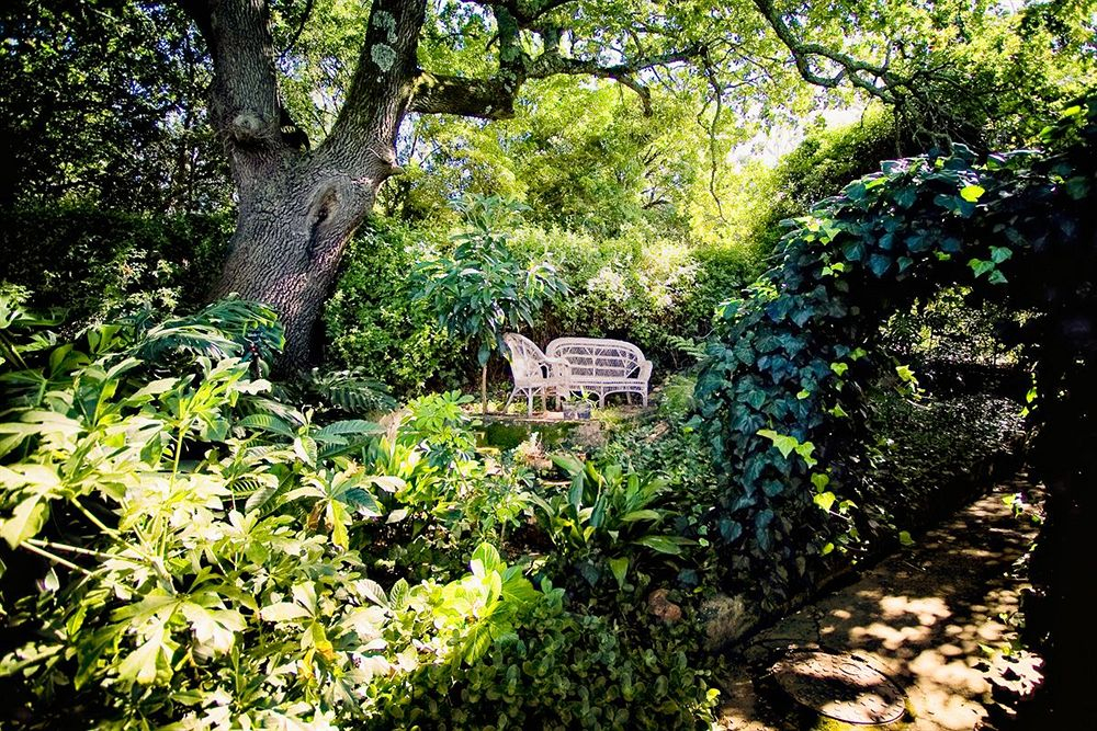Augusta de Mist Country House and Kitchen