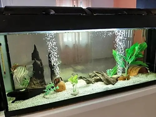 Il casale di zi'leo