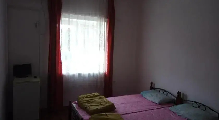 Дельфин