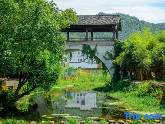 Wuyuan Songfengcui Scenic Spot Hundred-Mu Manor Boutique Stay