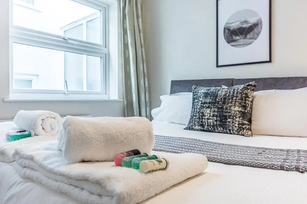 Luxurious Modern One Bedroom Apartment