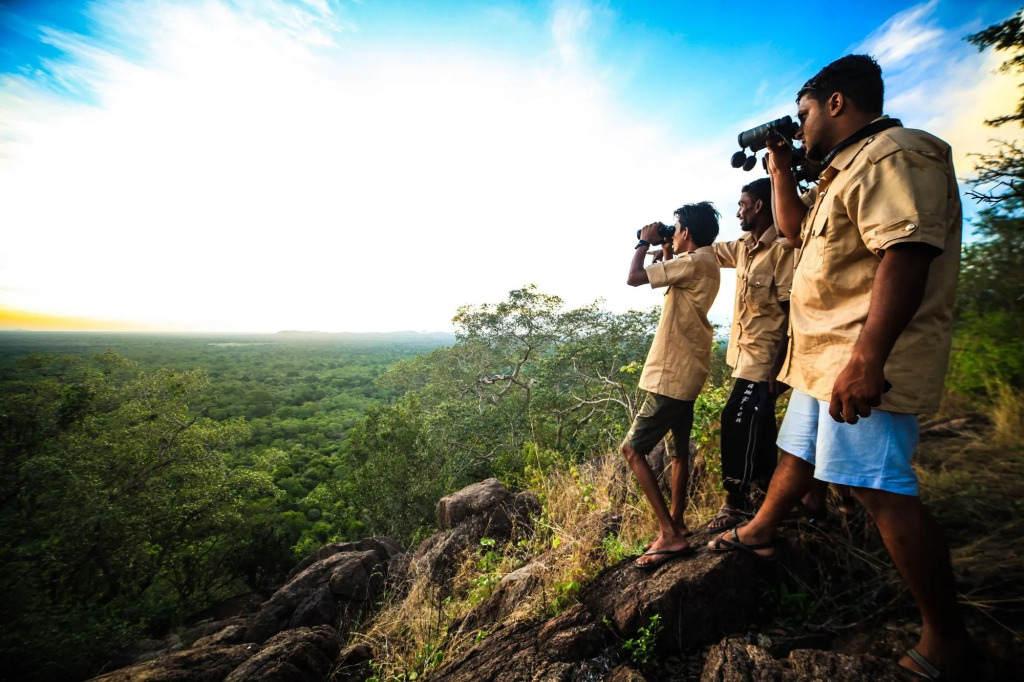 Yala Safari Camping