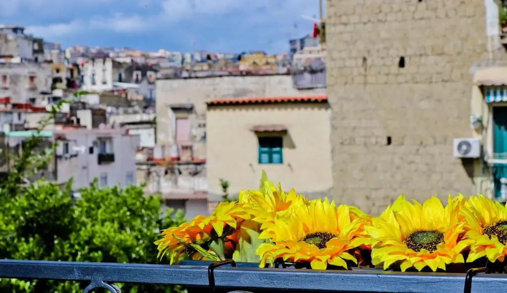 Terra Mia Savoia B&B