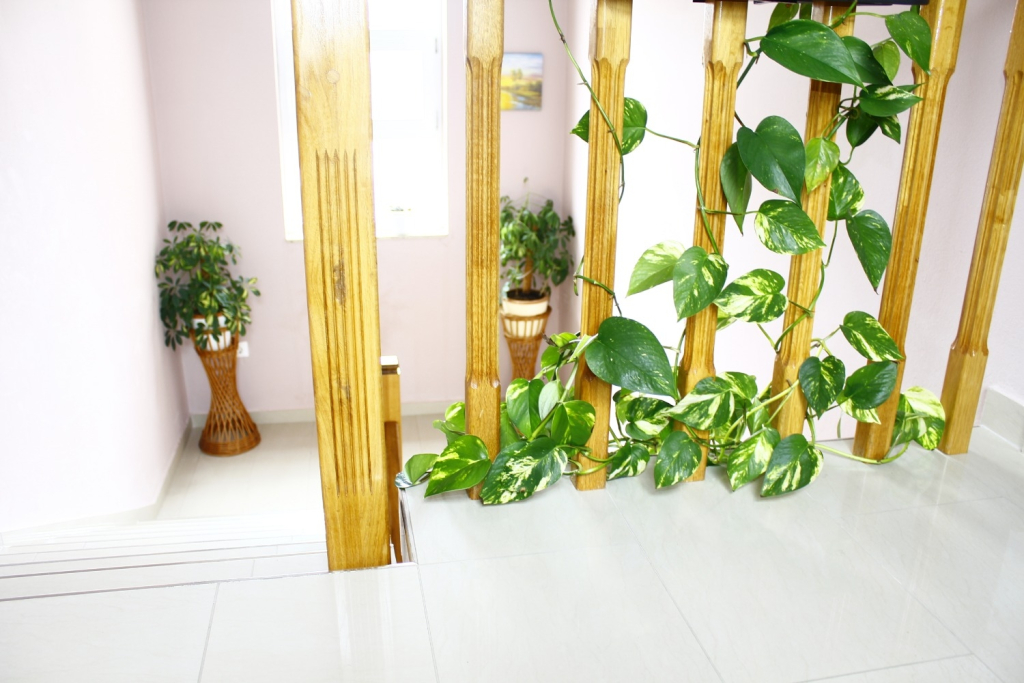 Studio apartment Old Stone: SA1 Sukosan, Zadar riviera