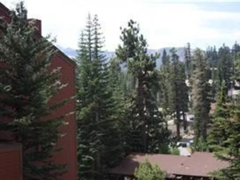 Mammoth Ski & Racquet Club #104 - Pet Okay!